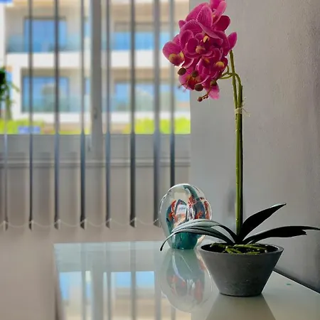 Diana Townhouse 1 * Пафос