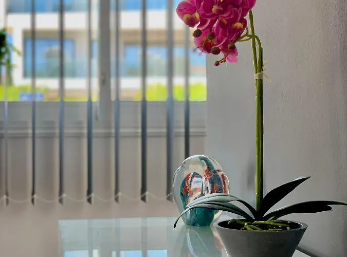 Diana Townhouse 1 * Paphos